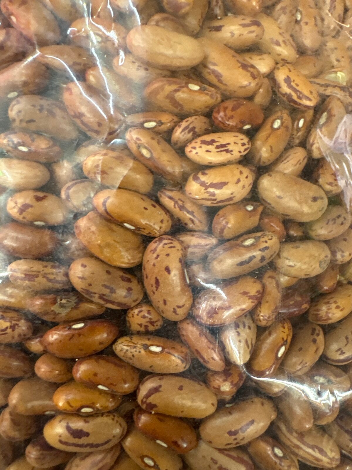Rajma white chitra