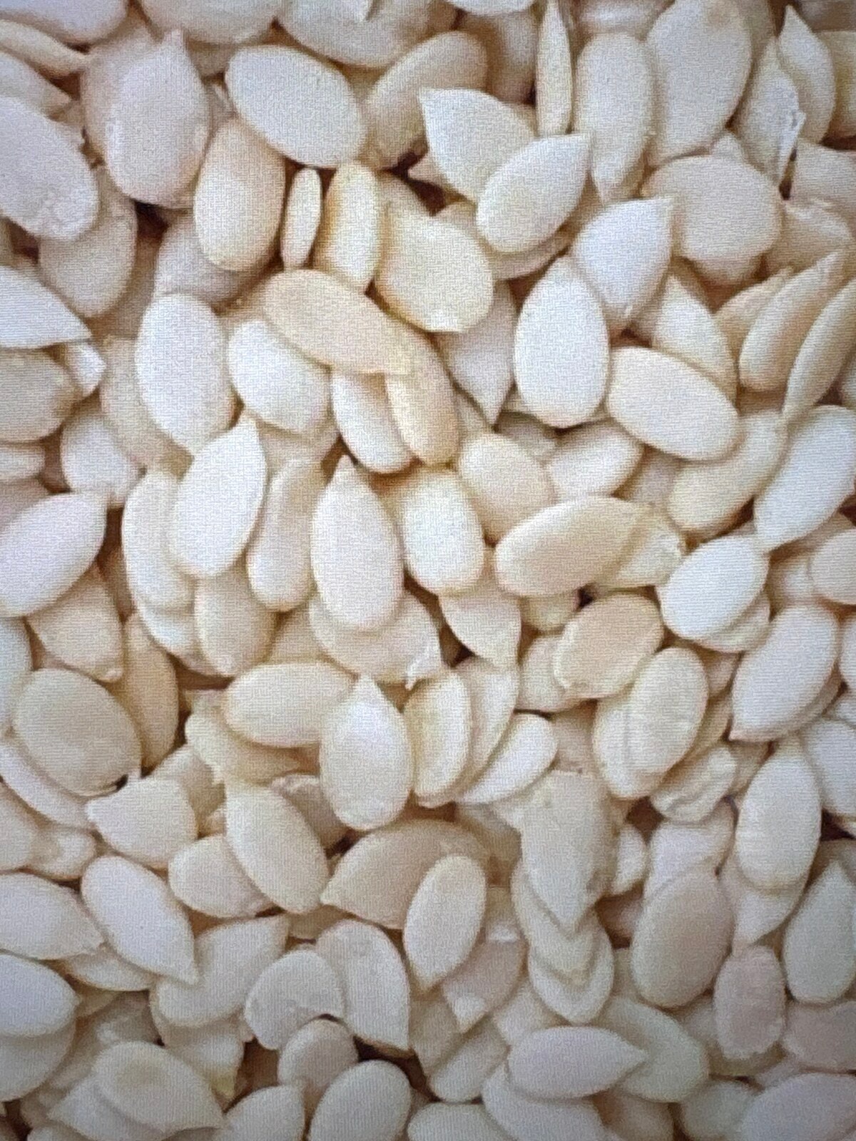 Melon seeds 100gm
